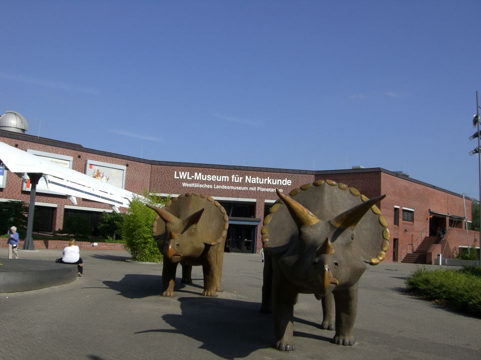 Naturkundemuseum Münster